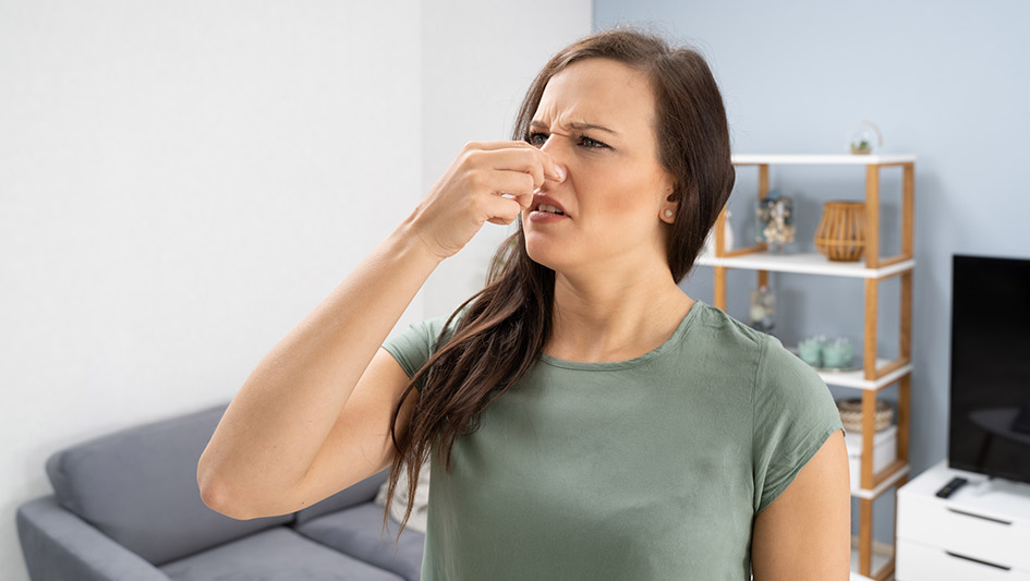 Six Common Air Conditioner Smells Decoded and How to Solve the Problem